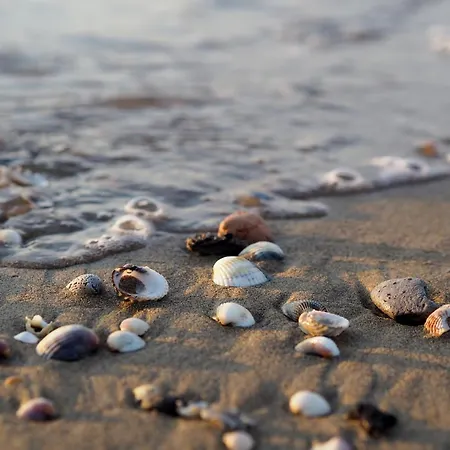 Sleep By The Sea With Beahost *